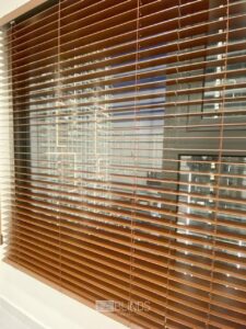 555458142 733778449688583 1917888201955568522 n