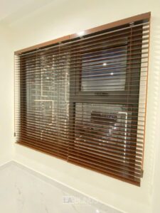 556113113 733778469688581 1233862893282324923 n